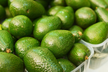 avocado in plastic dishes