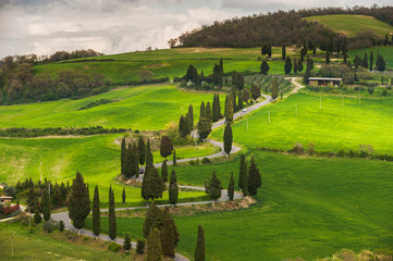 Tuscany twisted road with cypresses