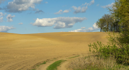 Fototapeta na wymiar Sunny plowed field in hilly terrain in spring - landscape