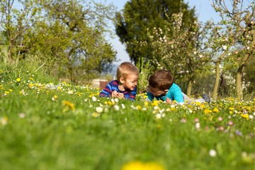 Fototapeta premium Boys and flowers.