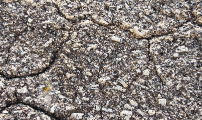 background texture