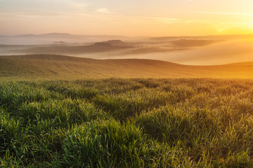 Obraz na płótnie Canvas Mist flowing in the green fields of Tuscany