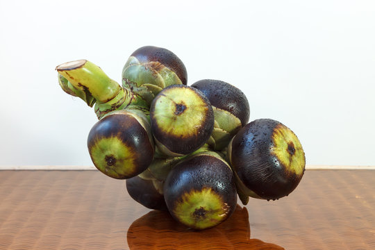 Asian Palmyra palm, Toddy palm, Sugar palm and Cambodian palm