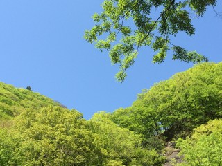 Fototapeta premium 山