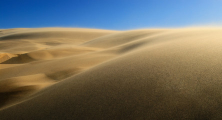 Fototapeta na wymiar High wind in desert
