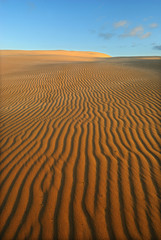 Orange soft desert sand