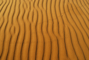 Orange soft desert sand