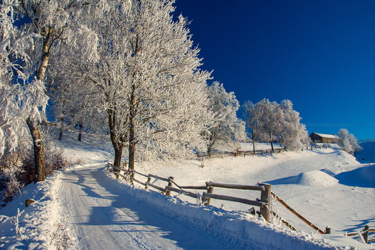 Obraz Kaszuby zimą