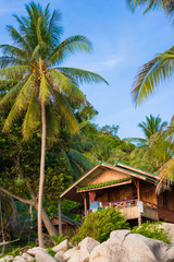 Fototapeta na wymiar Sea and coconut palm on rocky beach