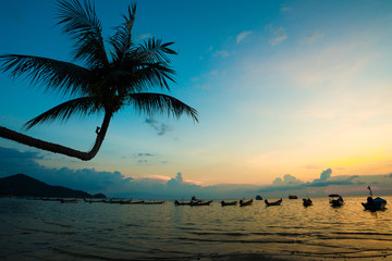 Sunset and sea with boat and coconut tree