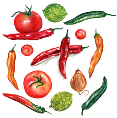 A watercolour set of watercolor vegetables