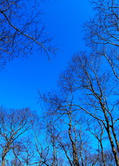 温根内釧路湿原