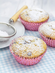 Homemade muffins with choco chips, decorated with sugar powder