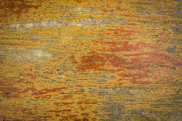 Texture of old wood