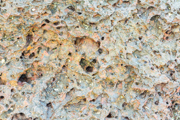Close Up of rocky shore texture background