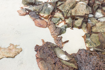 Rocky shore on white sand texture background