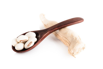 White kidney beans on white background