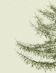 christmas tree branches