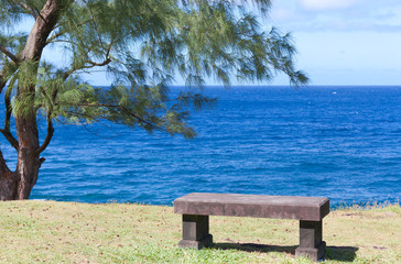  banc de pierre face à l'océan, Sud Réunion