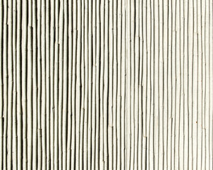 Obraz premium Textur