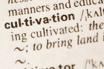 Obraz premium Dictionary definition of word cultuvation
