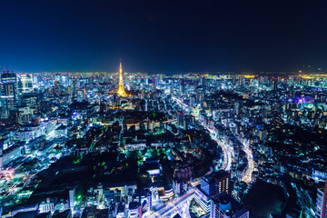 Fototapeta premium Tokyo in Japan at night