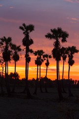 Obraz premium sunset