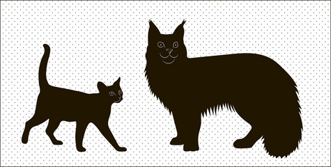 silhouettes of Maine Coon cats and the Abyssinian