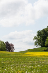 Farbige Frühlingsfelder