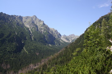 Fototapeta premium Hohe Tatra
