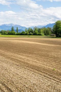 Tilled Field with Snow Covered Peaks of Swiss Alps 