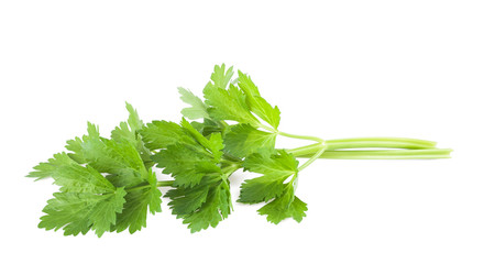 Celery