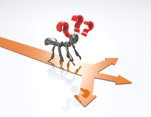 black ant standing on brown arrows