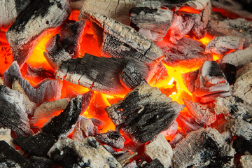 Holzkohle