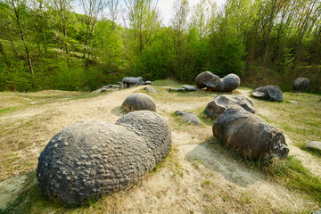 Sedimentary rocks in the natural park