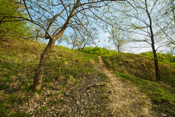 Obraz premium Footpath on the hills