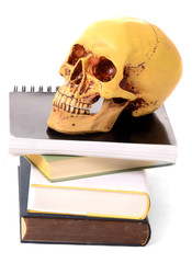 Bücher und Totenschädel