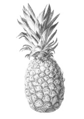 pineapple. 