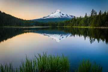 Grasses and Mount Hood reflecting in Trillium Lake at sunset, in