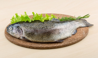 Raw fresh trout