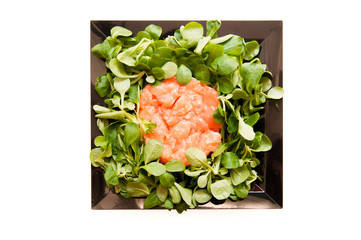 Salmon tartare with salad on square black plate isolated
