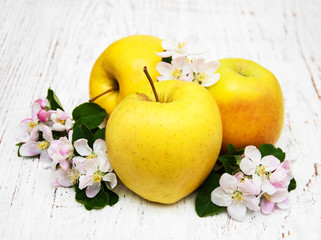 apples and apple tree blossoms