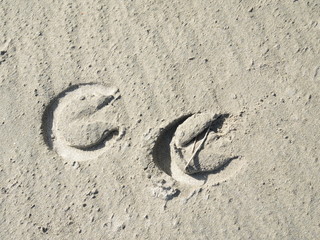 Fer à cheval 2