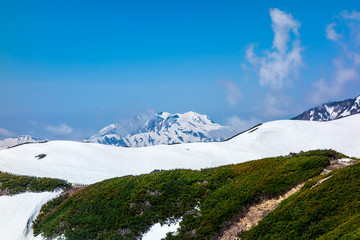 Fototapeta premium 立山連峰