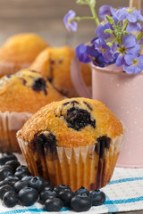 Homemade blueberry muffins with fresh blueberries