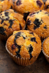 Blueberry Muffins. Selective focus.