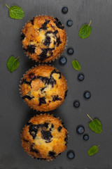 Homemade Blueberry Muffins. Selective focus.