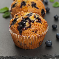 Homemade Blueberry Muffins. Selective focus.