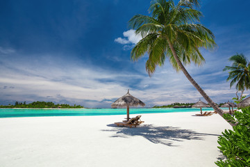 Deck chairs under palm trees on a tropical beach of Maldives