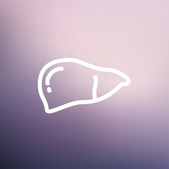 Human liver thin line icon